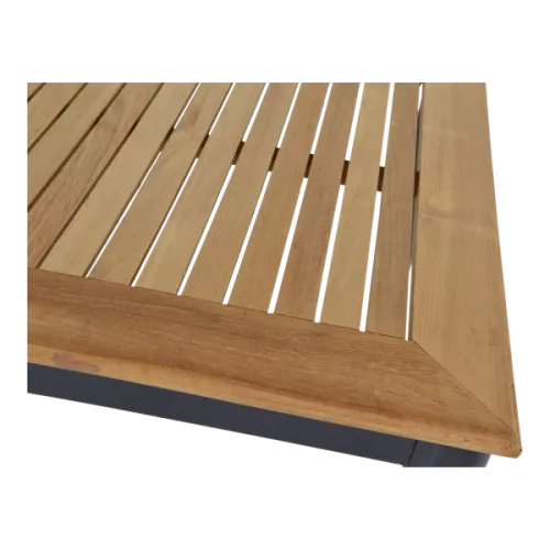 In And OutdoorMatch Table - 150x90x75.5 cm - Aluminum - Teak Top (105813)