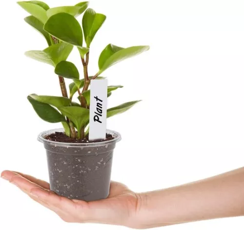 merkloos Allecto Plus - 32 pcs small plastic plant pots with dome lid for seeds and seedlings - Including 10 pcs plant plugs (6154155361364)