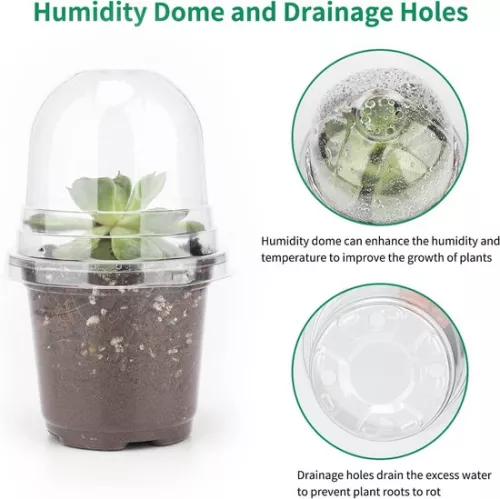 merkloos Allecto Plus - 32 pcs small plastic plant pots with dome lid for seeds and seedlings - Including 10 pcs plant plugs (6154155361364)