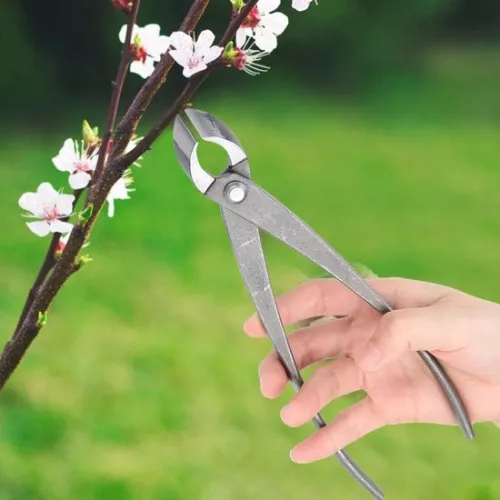 merkloos Branch cutter, bonsai tools, 8 inch concave cutter, bonsai shears, pliers knot cutter, bonsai trimmer, garden shears, Japanese garden tools (4803357411323)