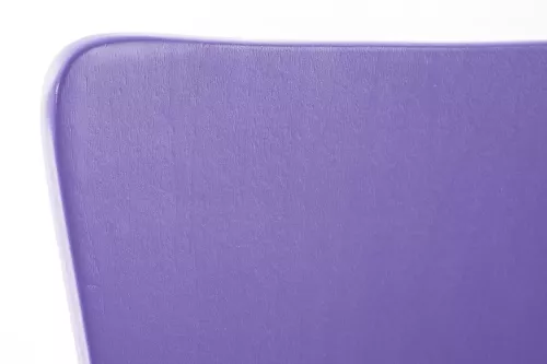 In And OutdoorMatch In And OutdoorMatch Visitor chair Zelda - dining chair -  Purple wooden seating - chrome legs - Seat height 45 cm - Stackable - easy to clean - set of one - modern (66185)